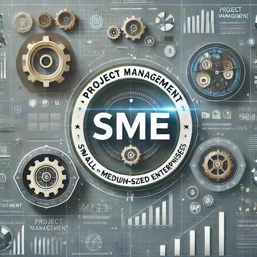 The Value of Process-Driven Project Management for SMEs