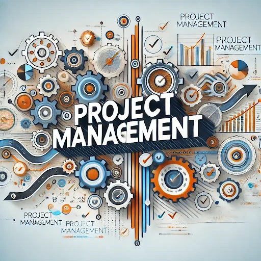 The Benefits of Having a Dedicated Project Manager from Tagsom